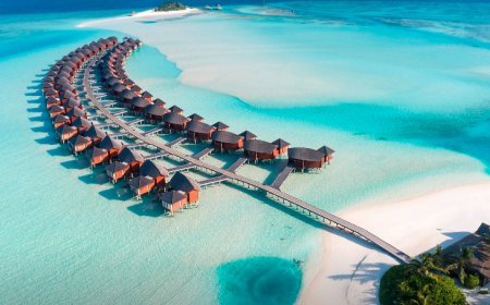 President Muizzu Announces Islands to Be Reserved for Halal Tourism Development