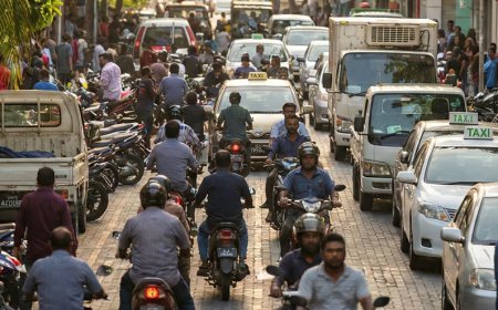 MMA's Quarterly Business Survey Highlights (January - March 2025): Shows Changes in Economic Sectors