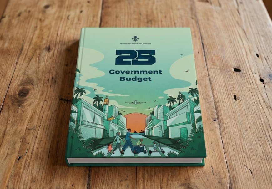 Maldives Sees Budget Surplus but Faces Fiscal Challenges
