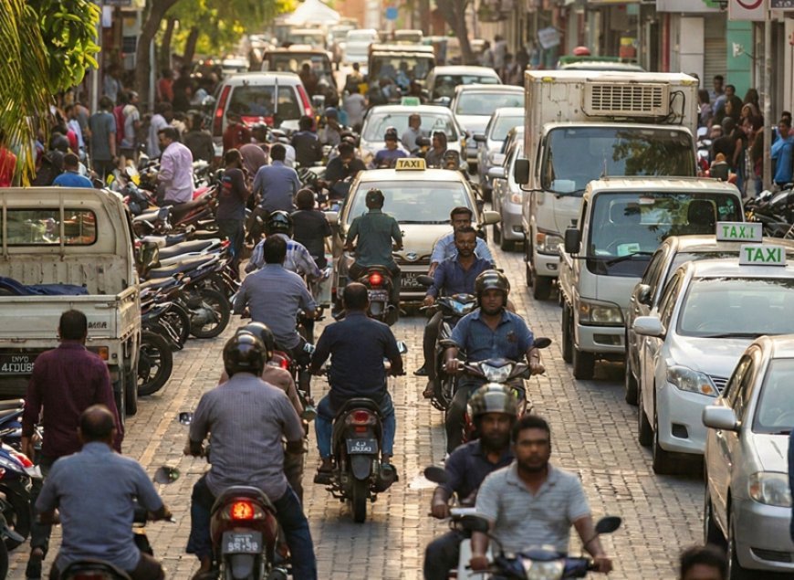 MMA's Quarterly Business Survey Highlights (January - March 2025): Shows Changes in Economic Sectors