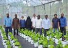 Second Round of "Dhanduveri Manfaa" Agribusiness Matching Grant Opens for Northern Atoll Farmers, Offering Up to MVR 150,000