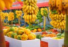 Dhanduveri Nafaa Converts to Shari'ah-Compliant Islamic Financing, Offering Maldives' Lowest Farmer Financing Rate at 6%