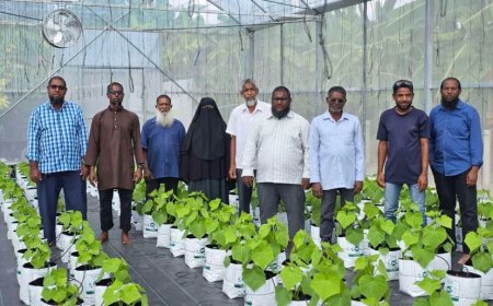 Second Round of "Dhanduveri Manfaa" Agribusiness Matching Grant Opens for Northern Atoll Farmers, Offering Up to MVR 150,000