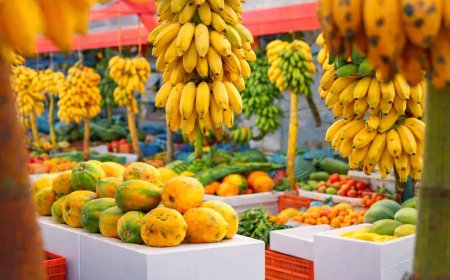 Dhanduveri Nafaa Converts to Shari'ah-Compliant Islamic Financing, Offering Maldives' Lowest Farmer Financing Rate at 6%