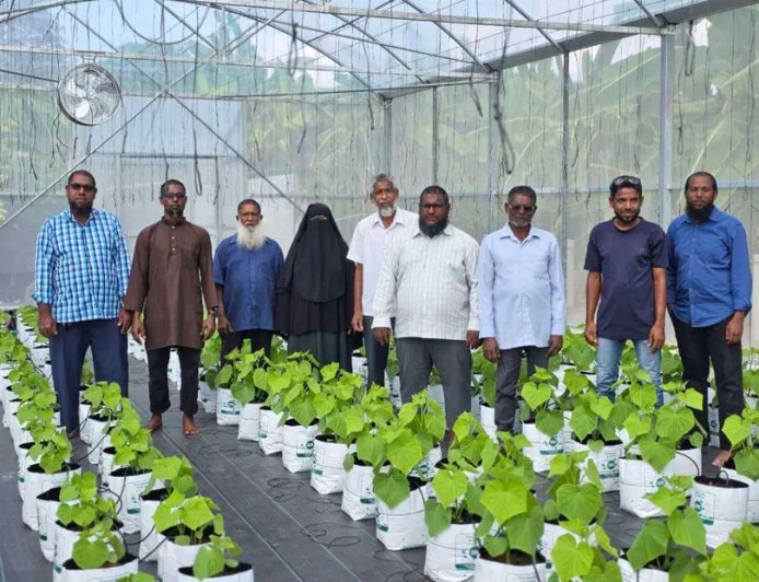 Second Round of "Dhanduveri Manfaa" Agribusiness Matching Grant Opens for Northern Atoll Farmers, Offering Up to MVR 150,000