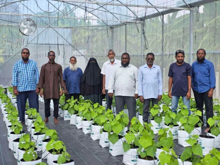 Second Round of "Dhanduveri Manfaa" Agribusiness Matching Grant Opens for Northern Atoll Farmers, Offering Up to MVR 150,000